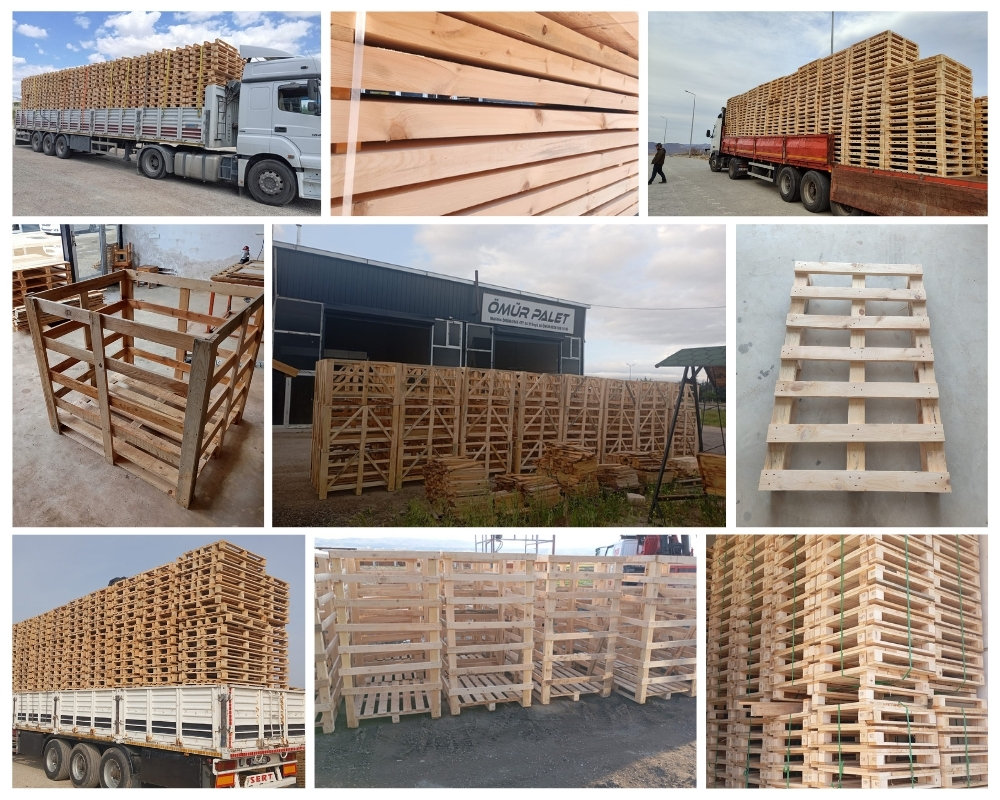Mons Houten Kisten, Europallets Groothandel Kopen